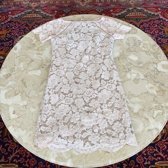 Vince Camuto Ballerina Pink Lace Sheath Dress - Picture 9 of 14